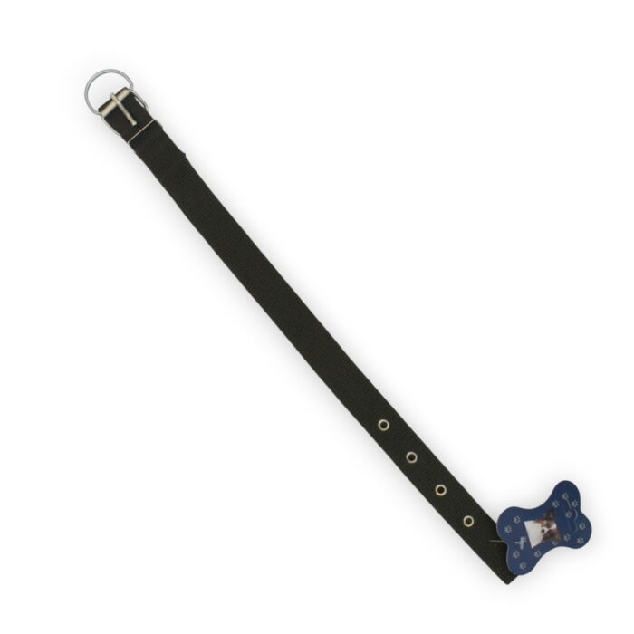 Collar cinta liso - Imagen 1